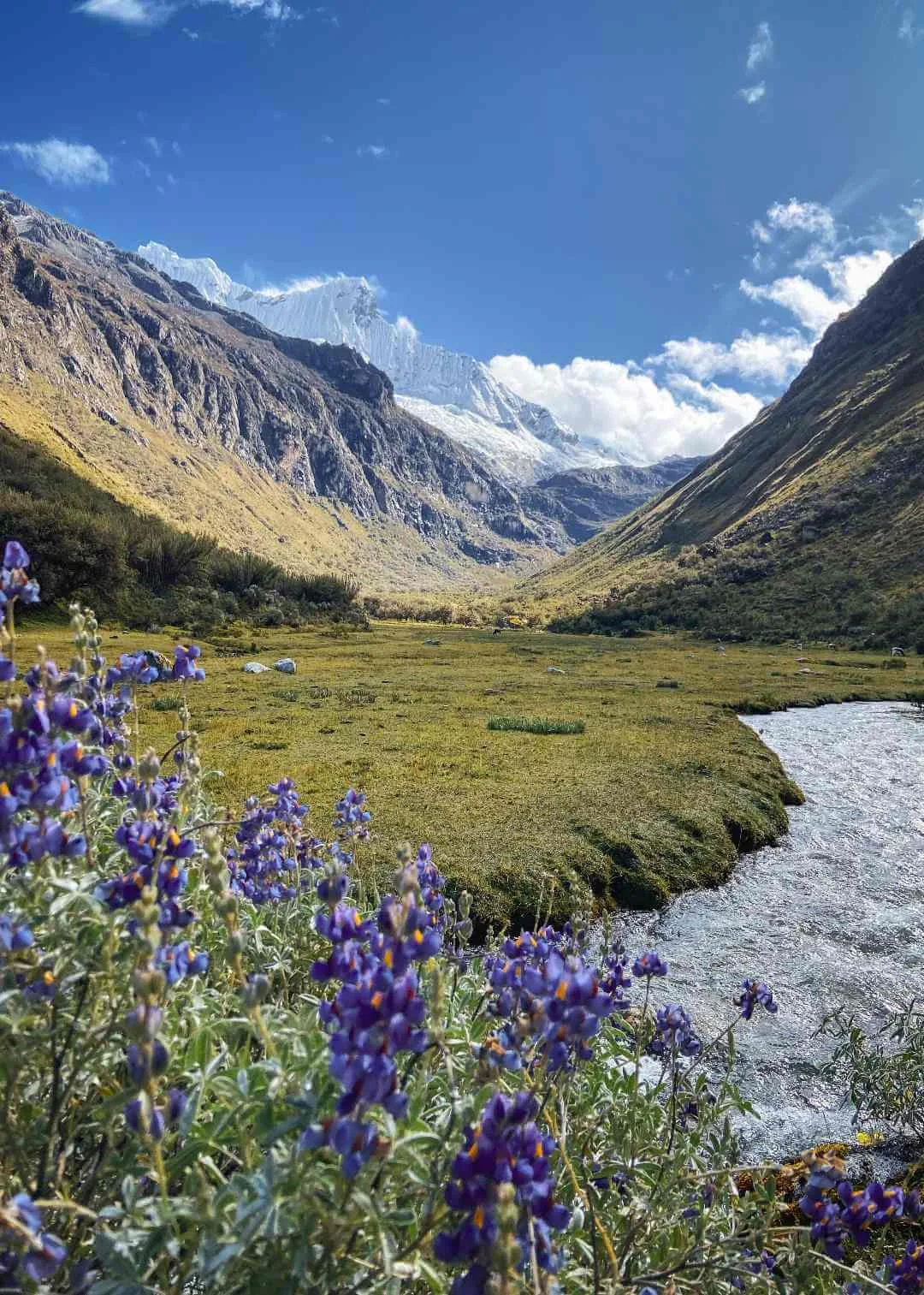Laguna 69 - fotografía 7